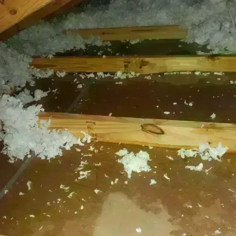 Attic Water Damage in Ramsey, NJ