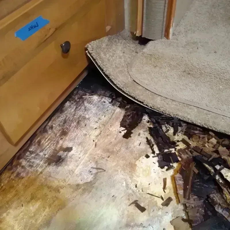 Wood Floor Water Damage in Ramsey, NJ